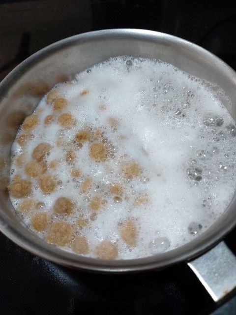 Protein Rich Fried Rice with Brown Rice wp 17530170925508644027903035556784